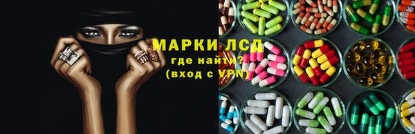 гидропоника Аркадак